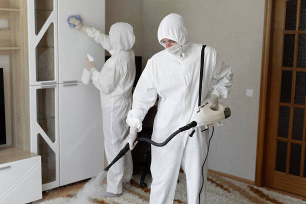 Mold Removal Process in Lake Odessa, MI